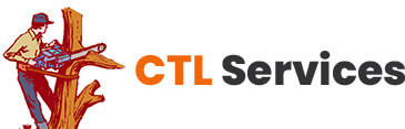 CTL Services
